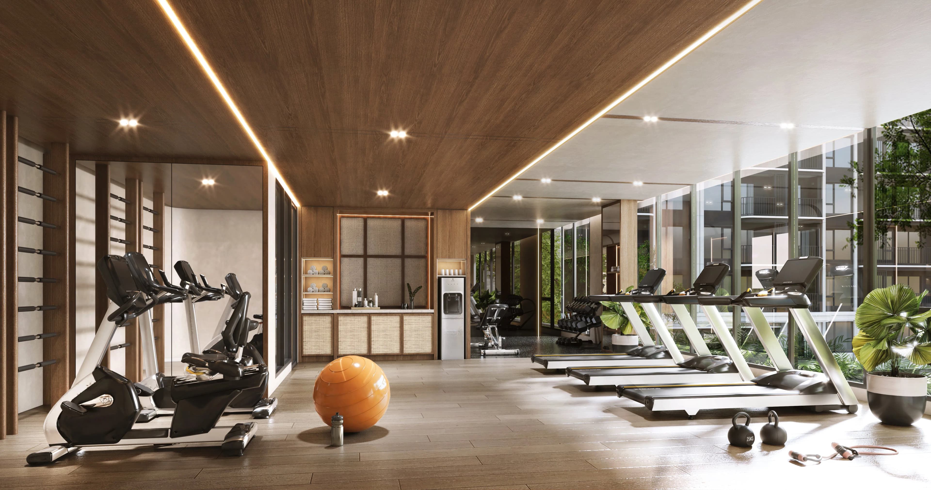 Active Gym .jpg